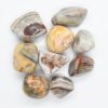 Crazy Lace Agate Tumbled72