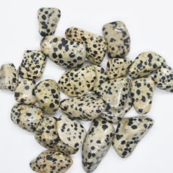 Dalmatian Jasper