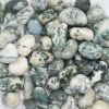 Tree Agate Tumble72