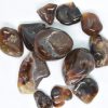 mexican Fire Agate tumbled72