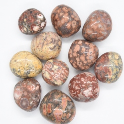 Leopard Skin Rhyolite