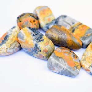 Bumble Bee Jasper