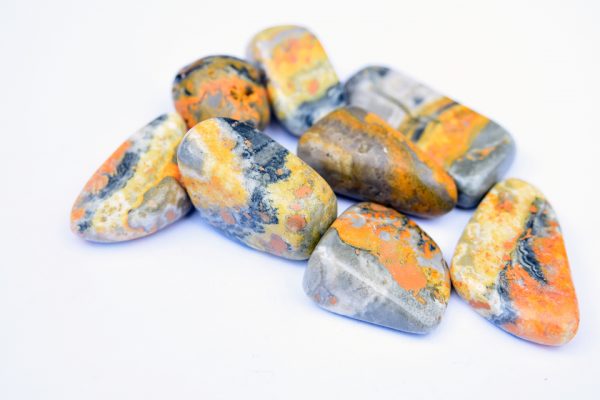 bumble bee jasper tumbled stones 72