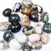 ocean Jasper Orbicular jasper tumbled stones 72