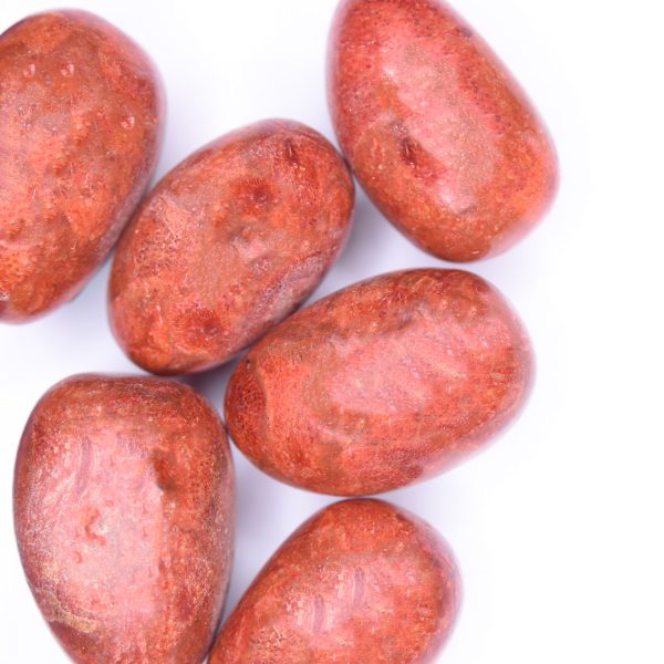 fossil-coral-tumbled-stone-72