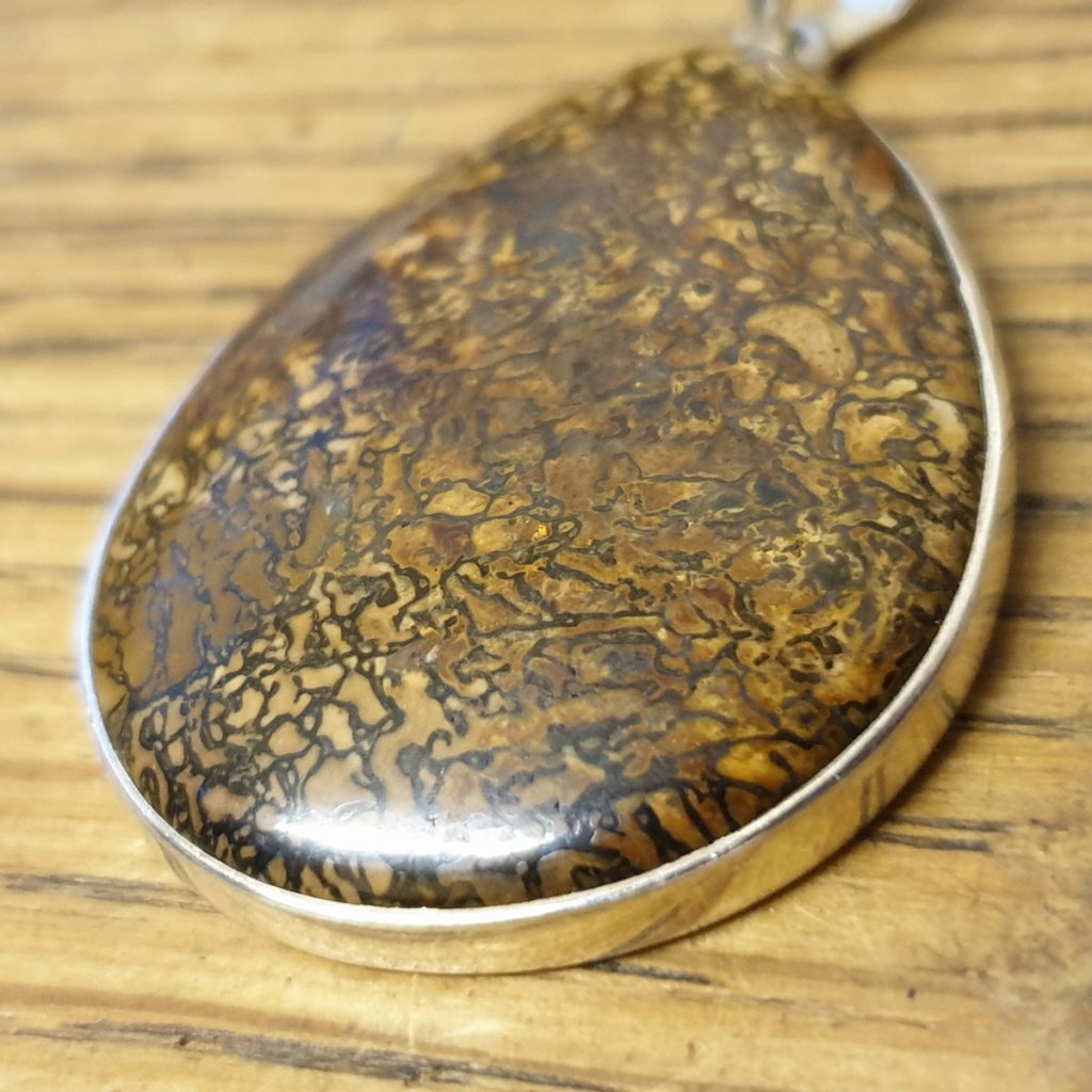 Fossil Dinosaur Bone Pendant Maddogg Designs