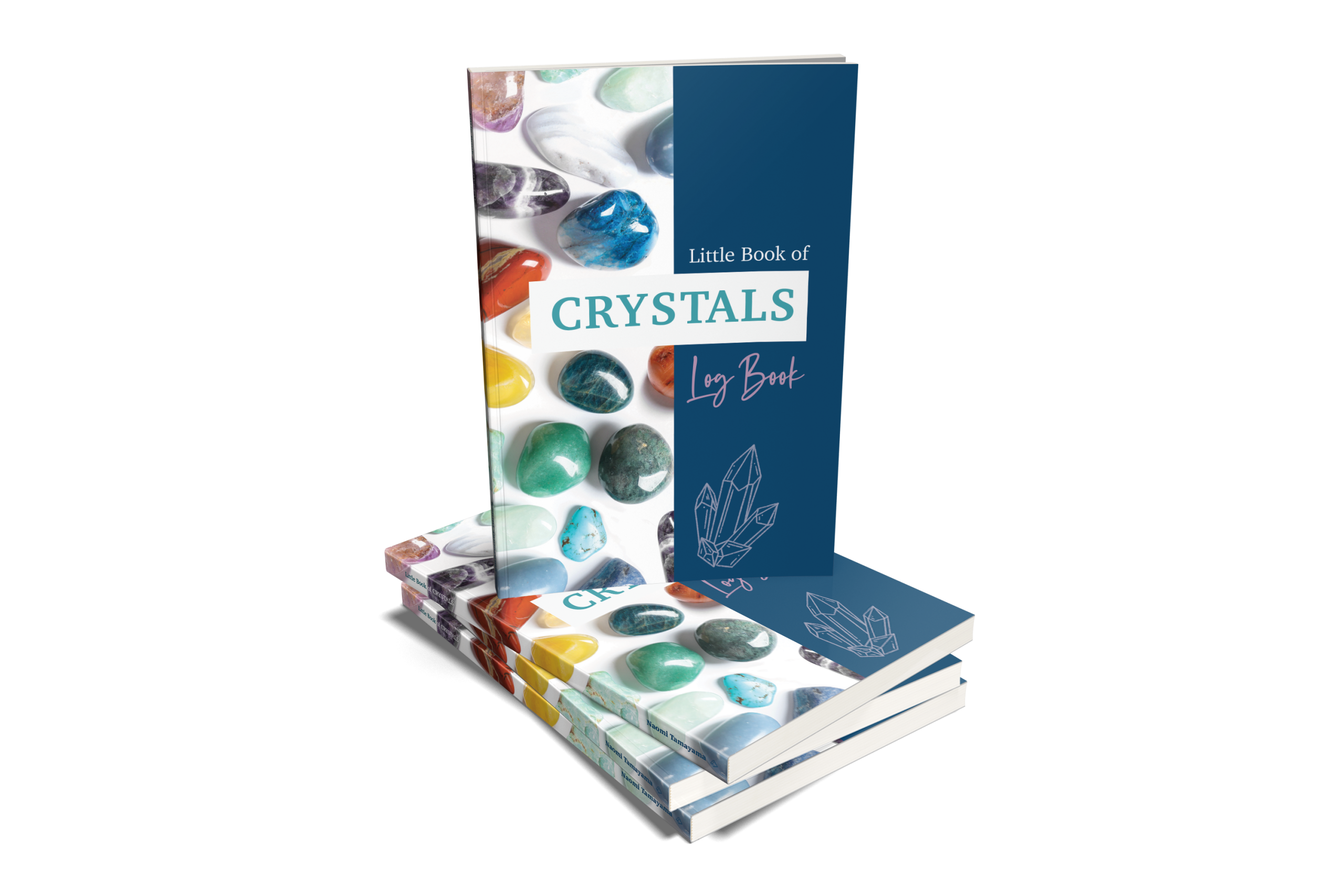 Naomi_logbook_paperback_stack